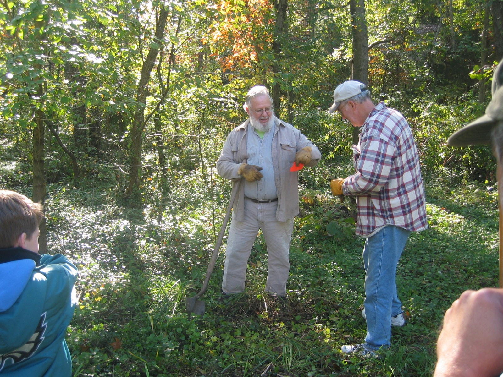 Volunteers working in the forest at Old Pine Farm