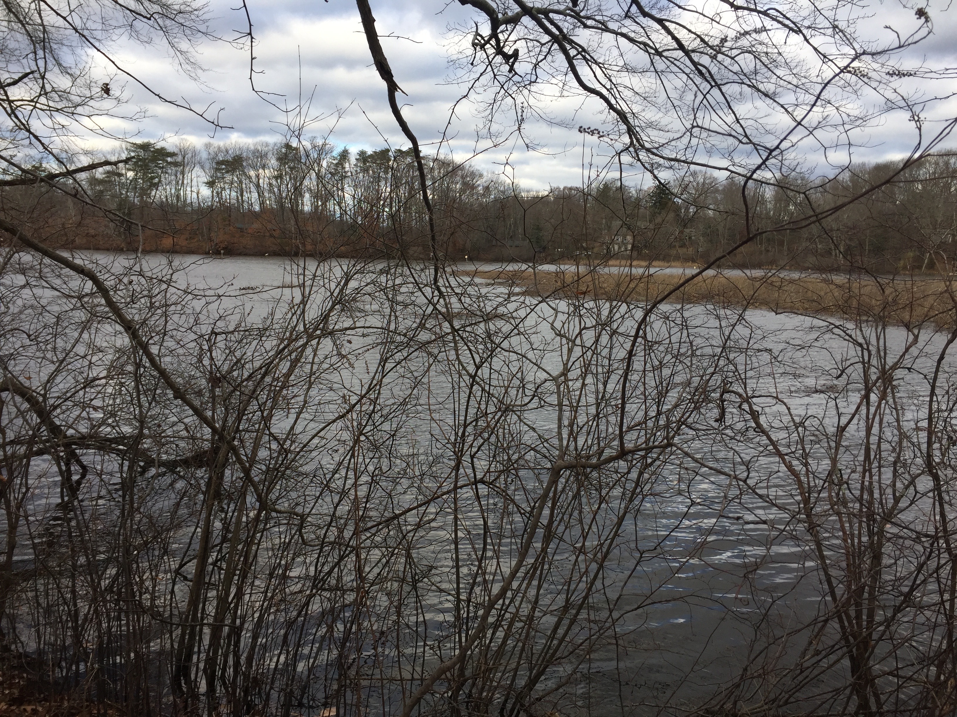 Big Timber Creek in winter