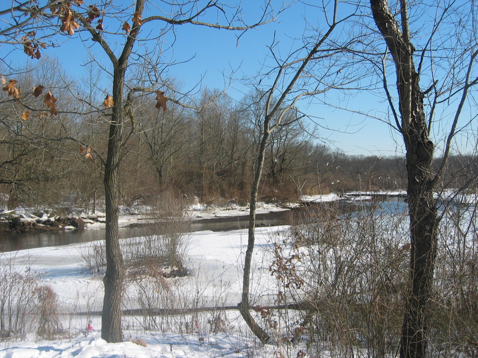 Big Timber Creek in winter snow