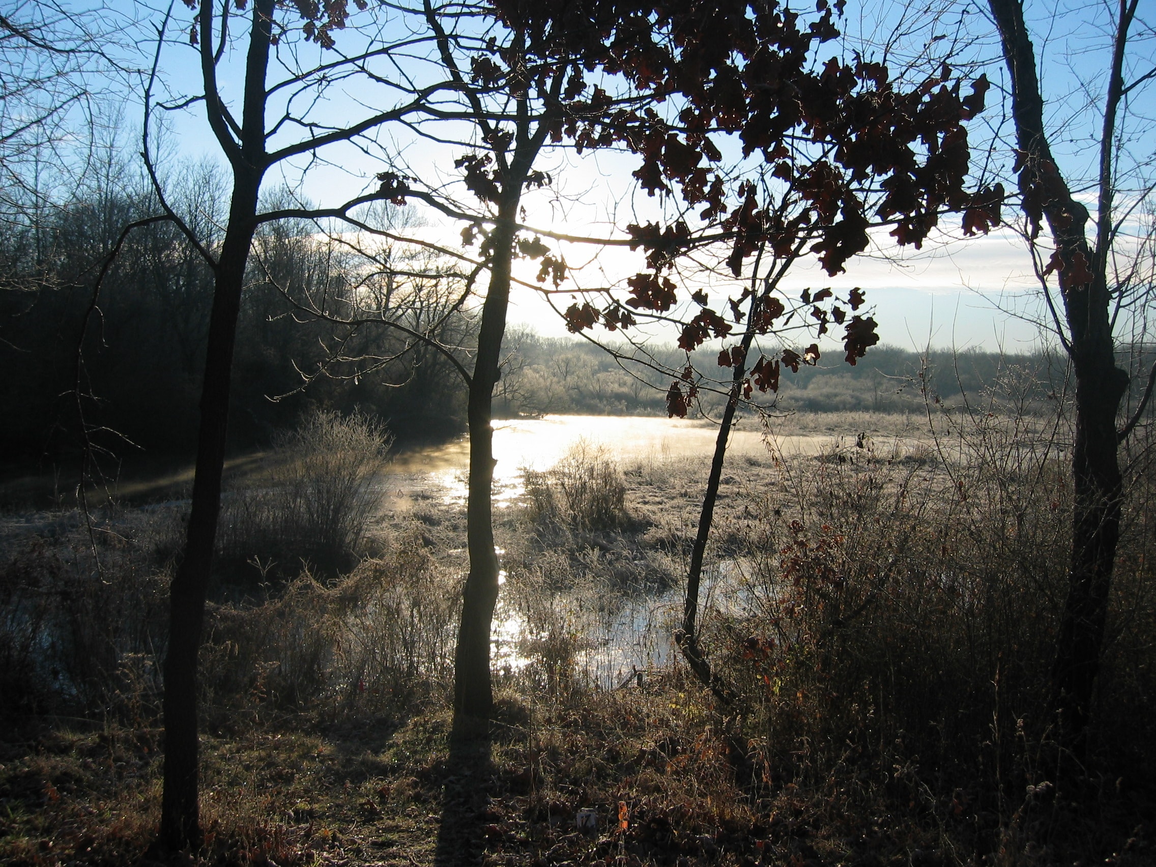 Winter wetland sunrise at Old Pine Farm
