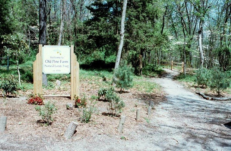Nature walk event