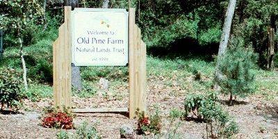 Community collaboration for Big Timber Creek